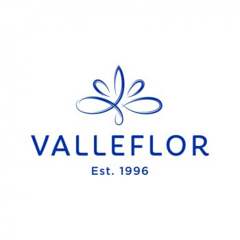 FLORES DEL VALLE S.A. VALLEFLOR