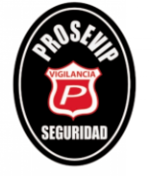 PROTECCIÓN, SEGURIDAD, VIGILANCIA E INVESTIGACIÓN PRIVADA, PROSEVIP CIA. LTDA.