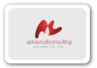 Advisory & Consulting Auditores