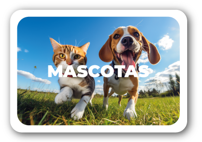 Mascotas