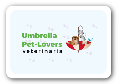 Umbrella Pet Lovers