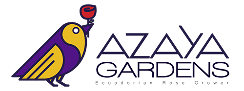 Logotipo_Azaya